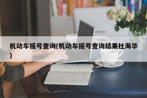 机动车摇号查询(机动车摇号查询结果杜海华)