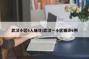 武汉小区6人确诊/武汉一小区确诊6例